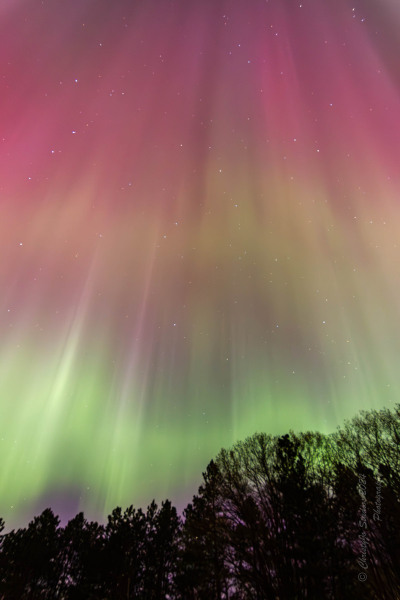 From-the-Heavens-
