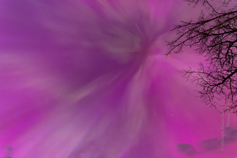 Pretty-in-Pinks-